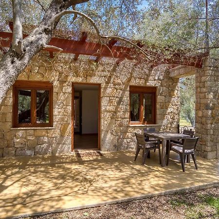 Stonehouse In Olives Διαμέρισμα Ούλτσιν Εξωτερικό φωτογραφία