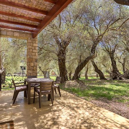 Stonehouse In Olives Διαμέρισμα Ούλτσιν Εξωτερικό φωτογραφία