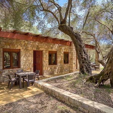 Stonehouse In Olives Διαμέρισμα Ούλτσιν Εξωτερικό φωτογραφία