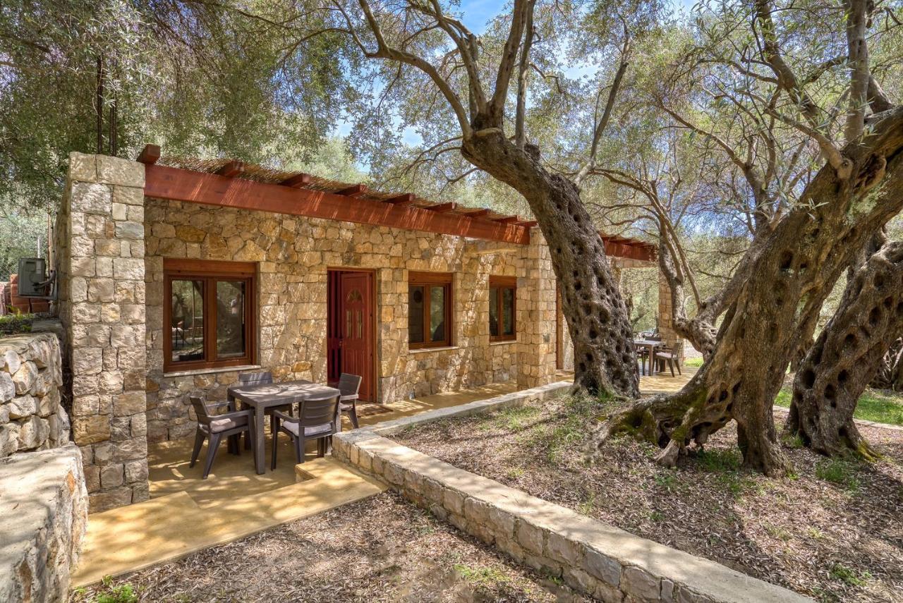 Stonehouse In Olives Διαμέρισμα Ούλτσιν Εξωτερικό φωτογραφία