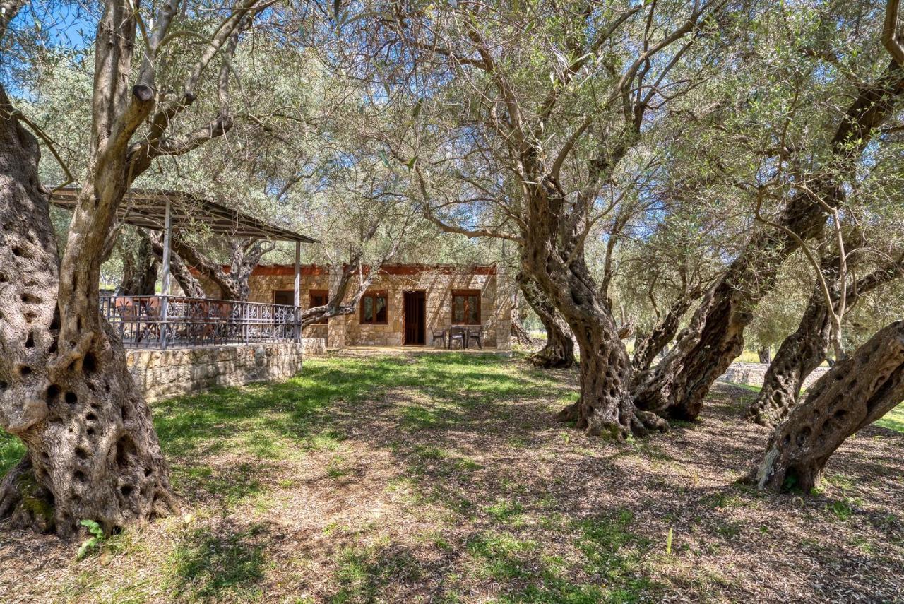 Stonehouse In Olives Διαμέρισμα Ούλτσιν Εξωτερικό φωτογραφία