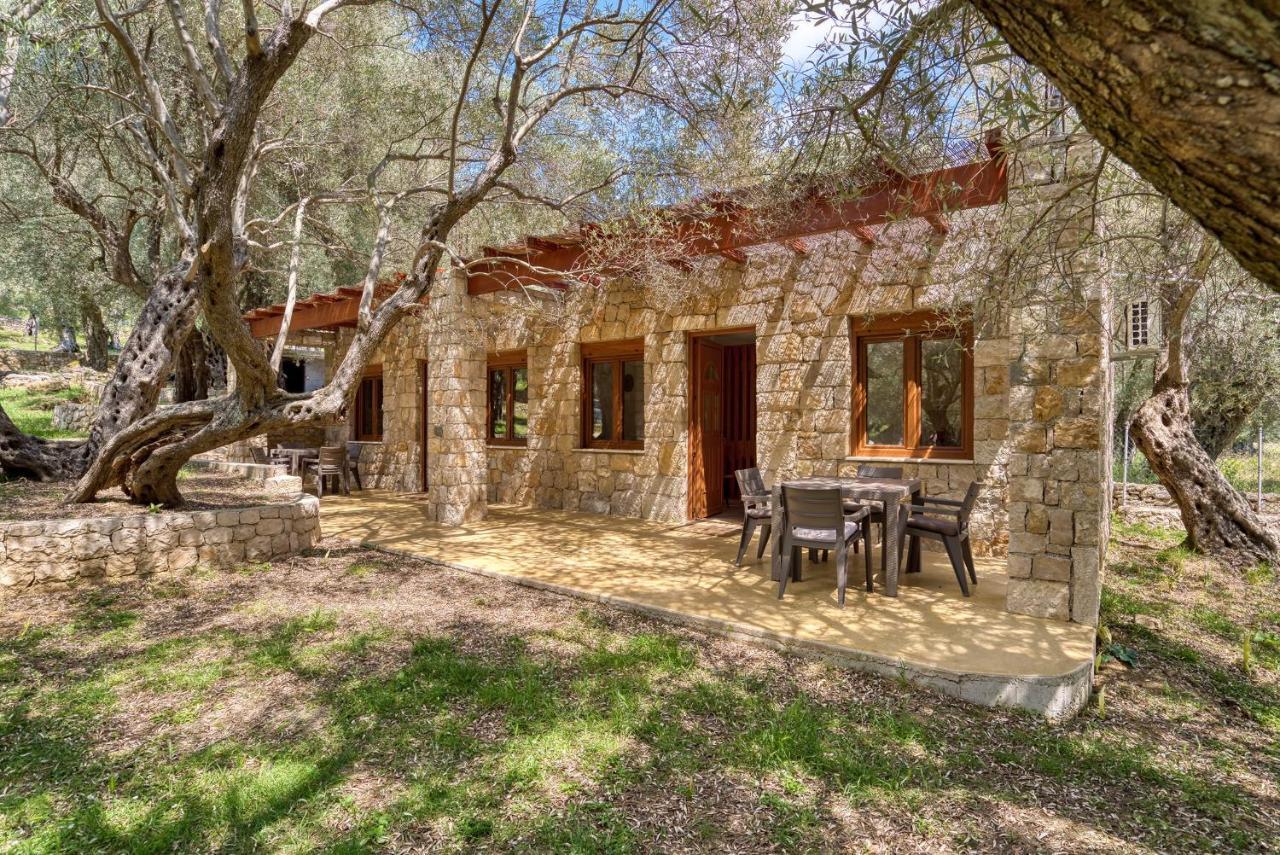 Stonehouse In Olives Διαμέρισμα Ούλτσιν Εξωτερικό φωτογραφία