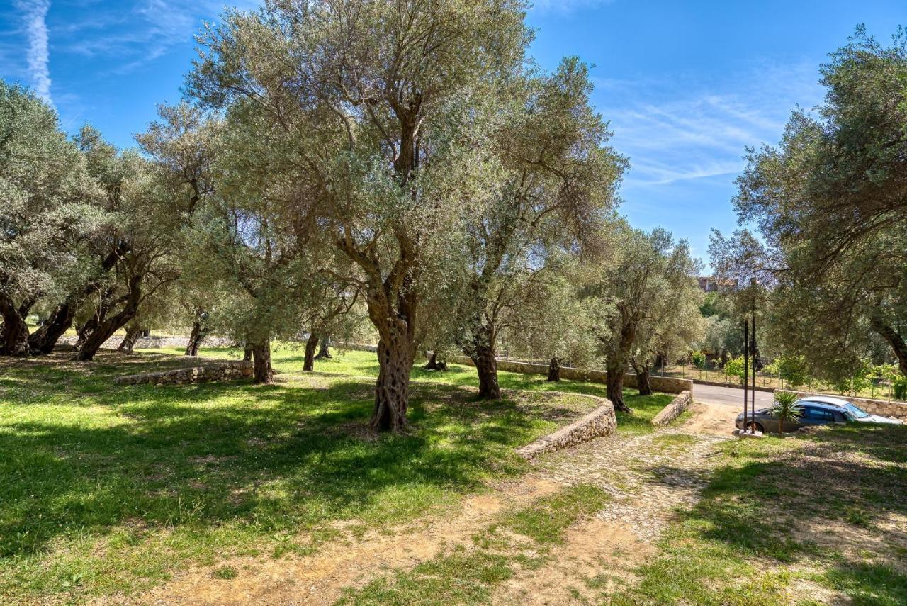 Stonehouse In Olives Διαμέρισμα Ούλτσιν Εξωτερικό φωτογραφία