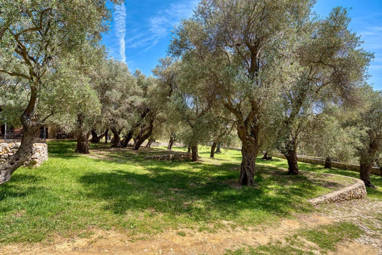 Stonehouse In Olives Διαμέρισμα Ούλτσιν Εξωτερικό φωτογραφία