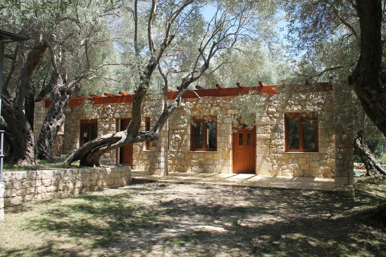 Stonehouse In Olives Διαμέρισμα Ούλτσιν Εξωτερικό φωτογραφία